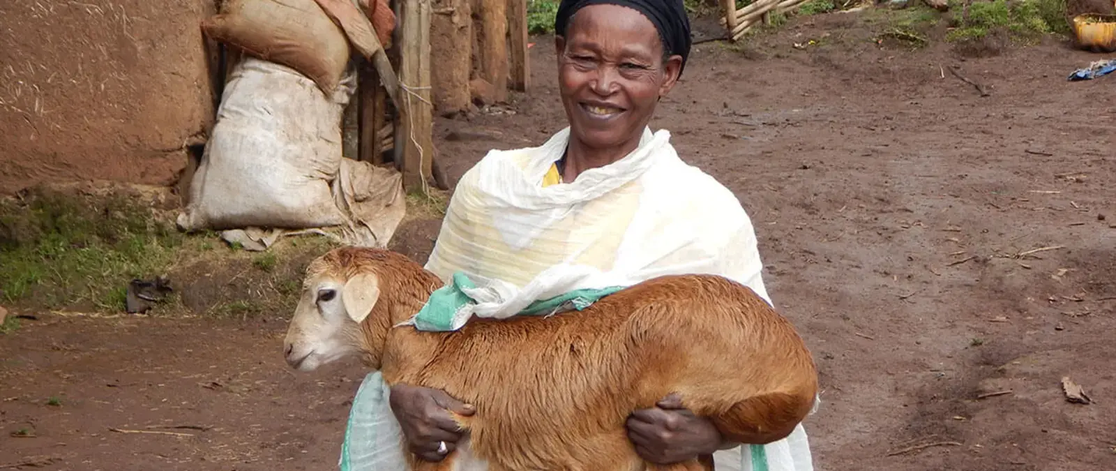 A Woman’s Journey in Community-Based Breeding in Ethiopia
