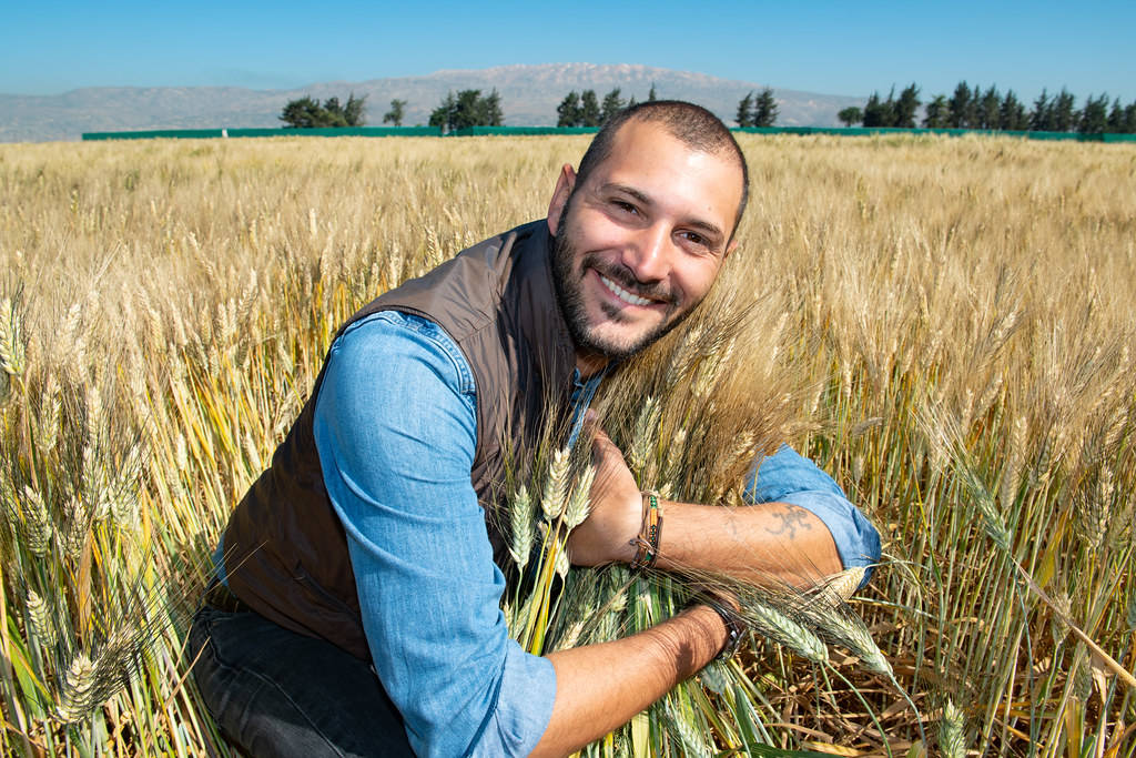 Filippo Bassi, Senior Scientist - Durum Breeder, Breeding programs (Wheat Barley Legumes) at the ICARDA Terbol Station, Lebanon Filippo Bassi, Senior Scientist - Durum Breeder, Breeding programs (Wheat Barley Legumes) at the ICARDA Terbol Station, Lebanon