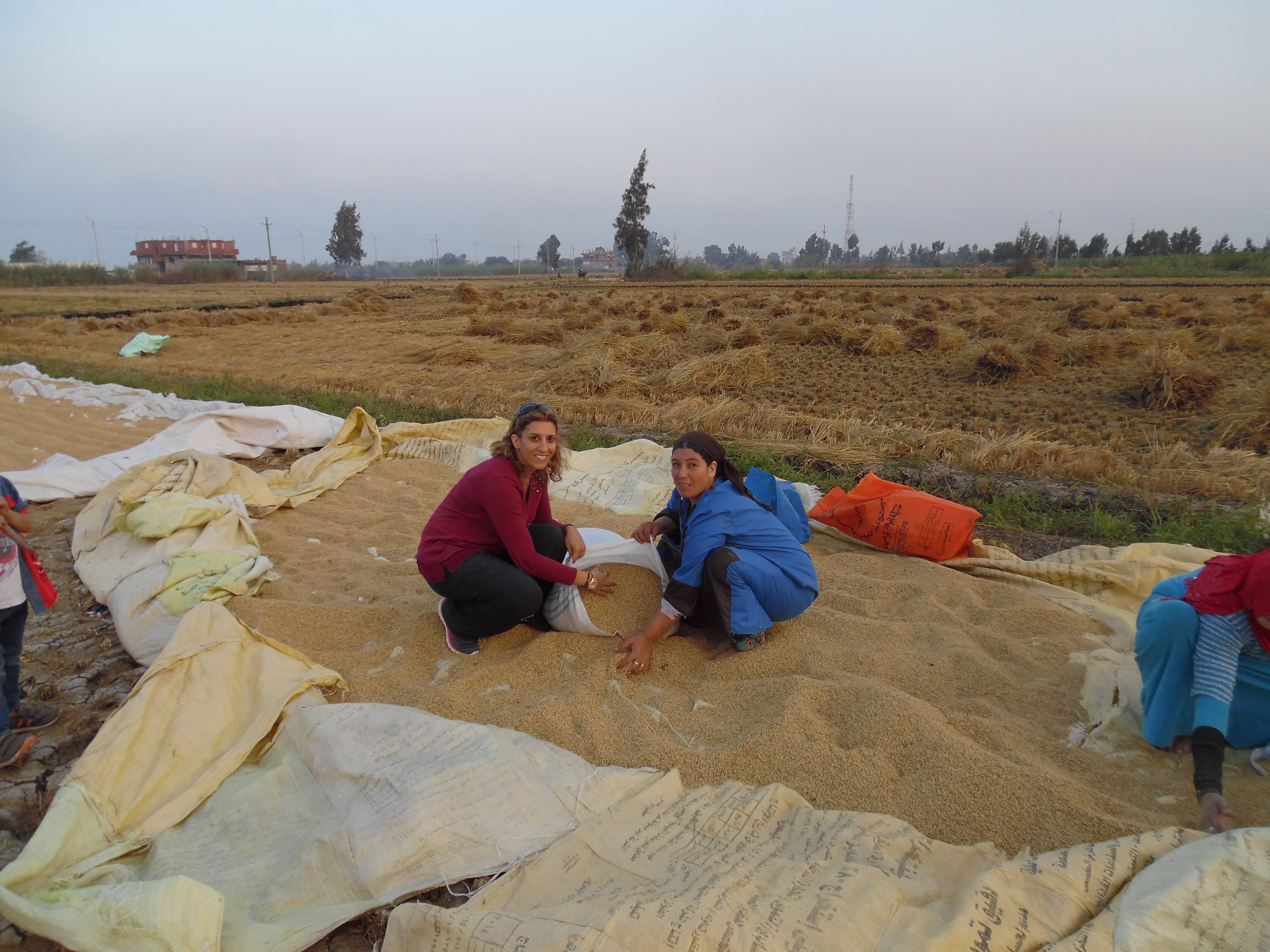 Dina Najjar doing fielwork Dina Najjar doing fielwork