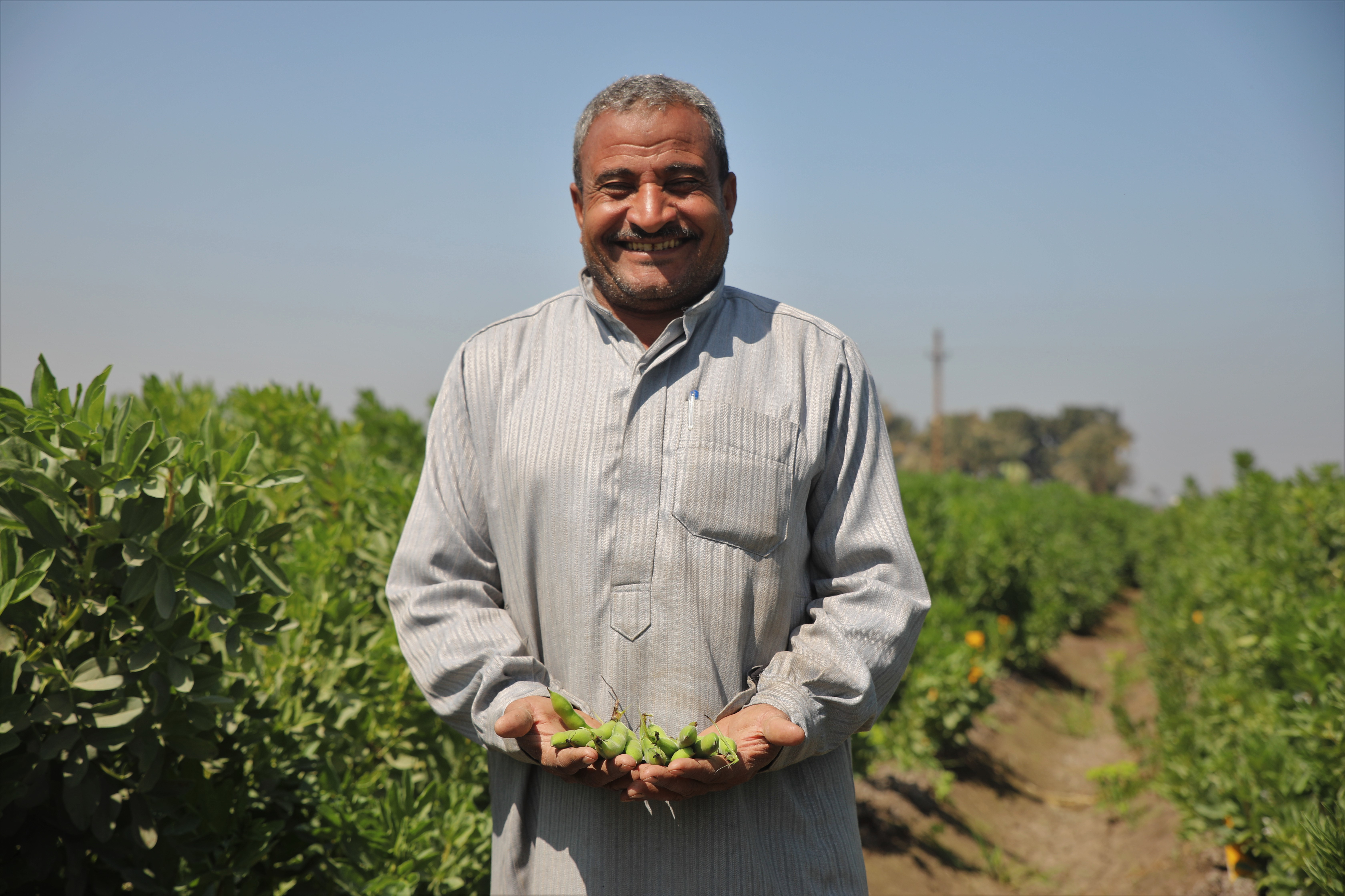 Sids Farmer