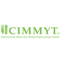 International-Maize-and-Wheat-Improvement-Center
