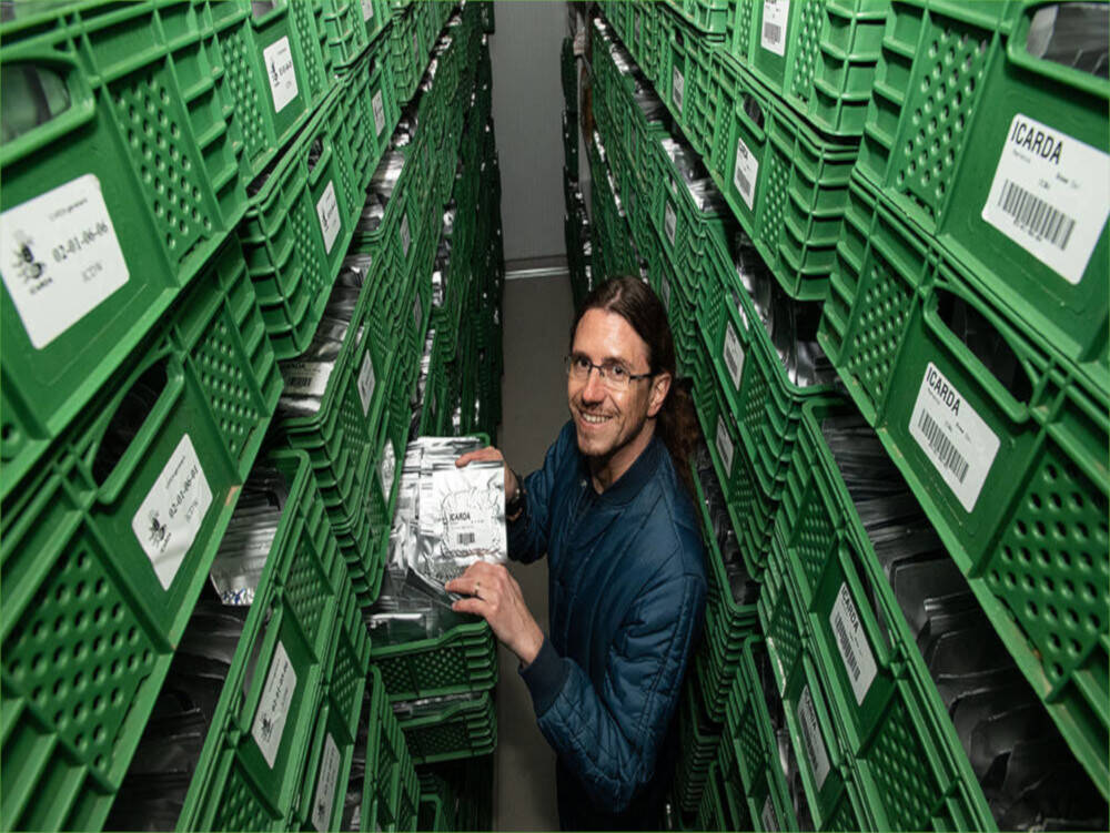 Morocco Genebank