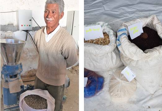 Food pellet machine Tunisia Food pellet machine Tunisia