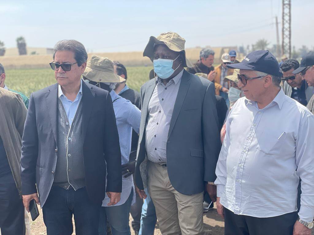 Mr. Abousabaa (L), Dr. Roy-Macauley (C),  and Dr. Soliman (R) discuss how targeted crop-breeding innovation can address the needs of countrywide farming communities affected by climate change.