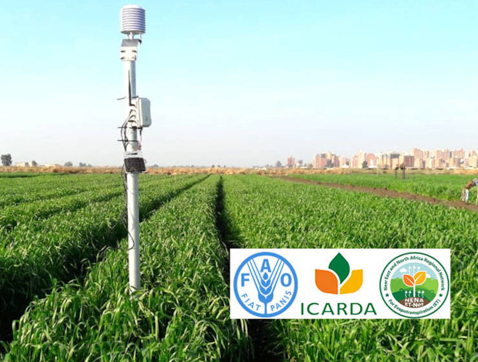 fao_webinars_header_0.jpg