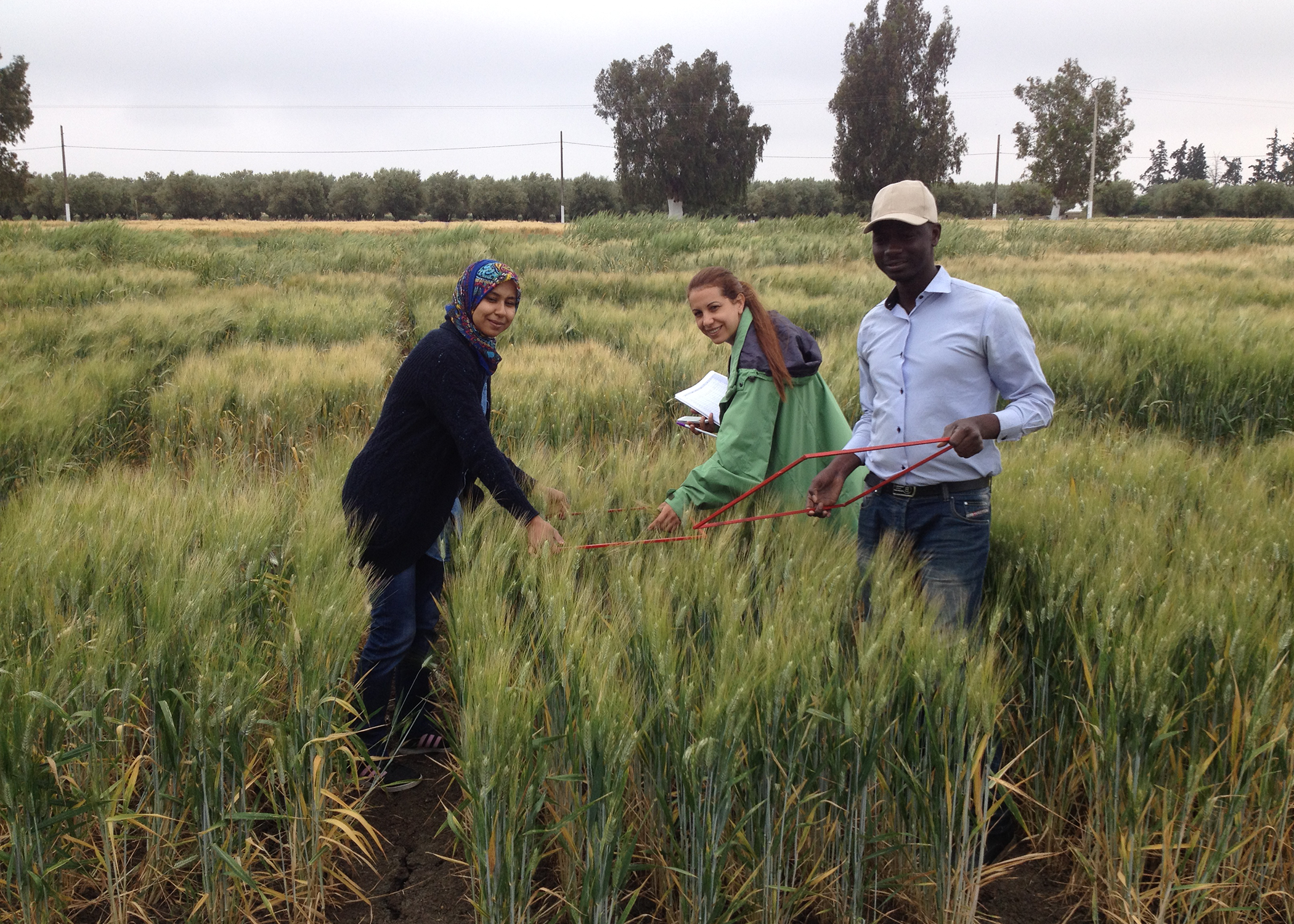 Young Scientists in Morocco 