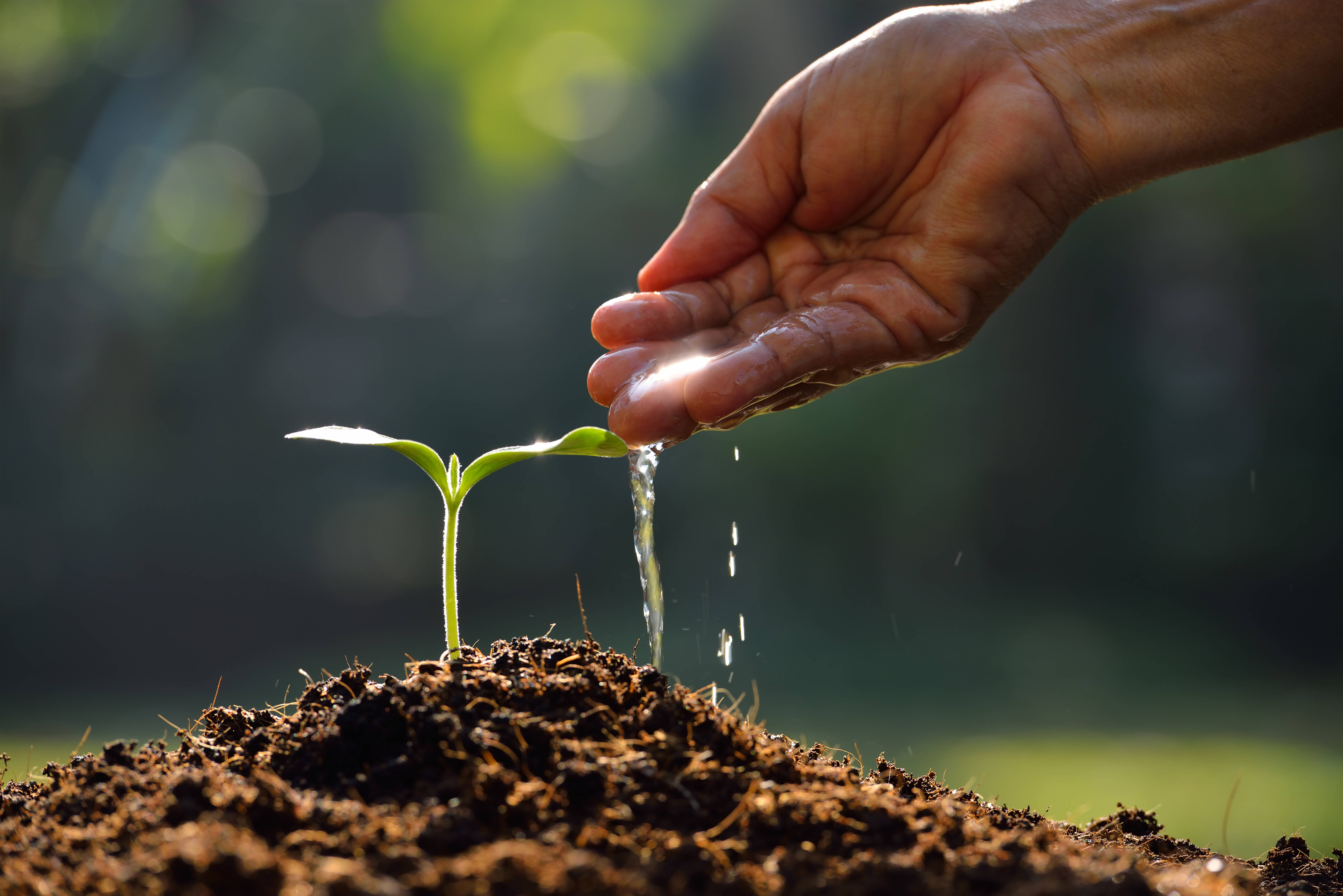 Soil and water