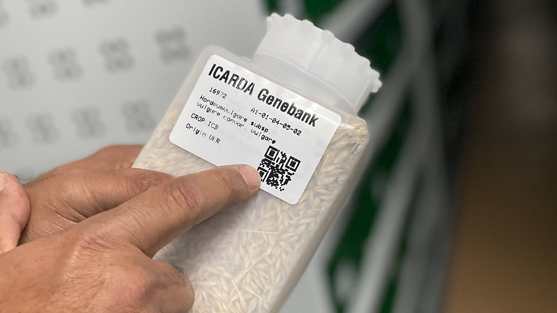 seed storage