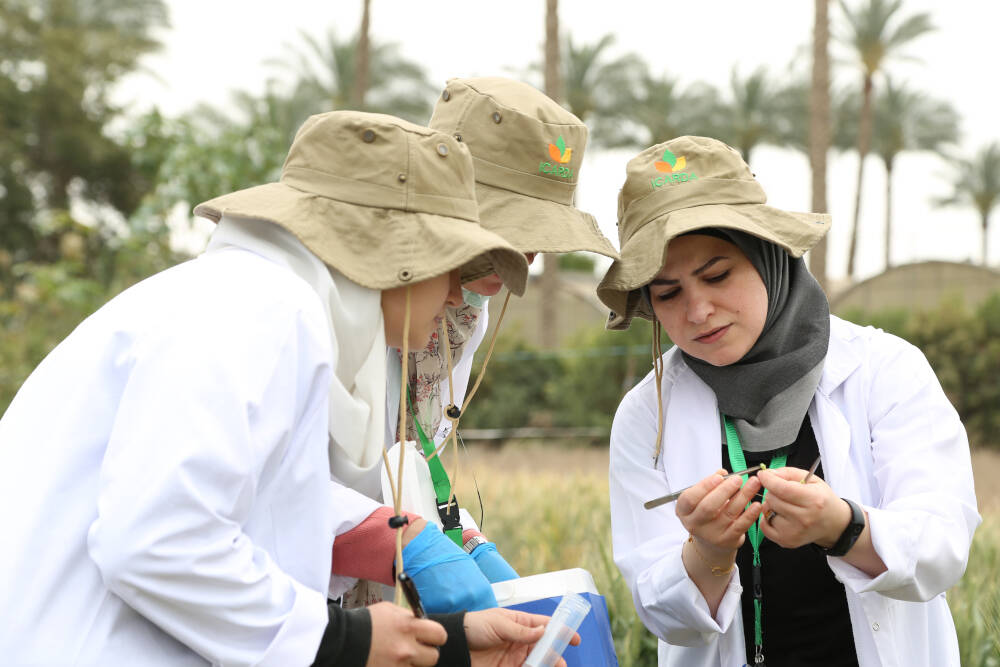 ICARDA Female Scientists