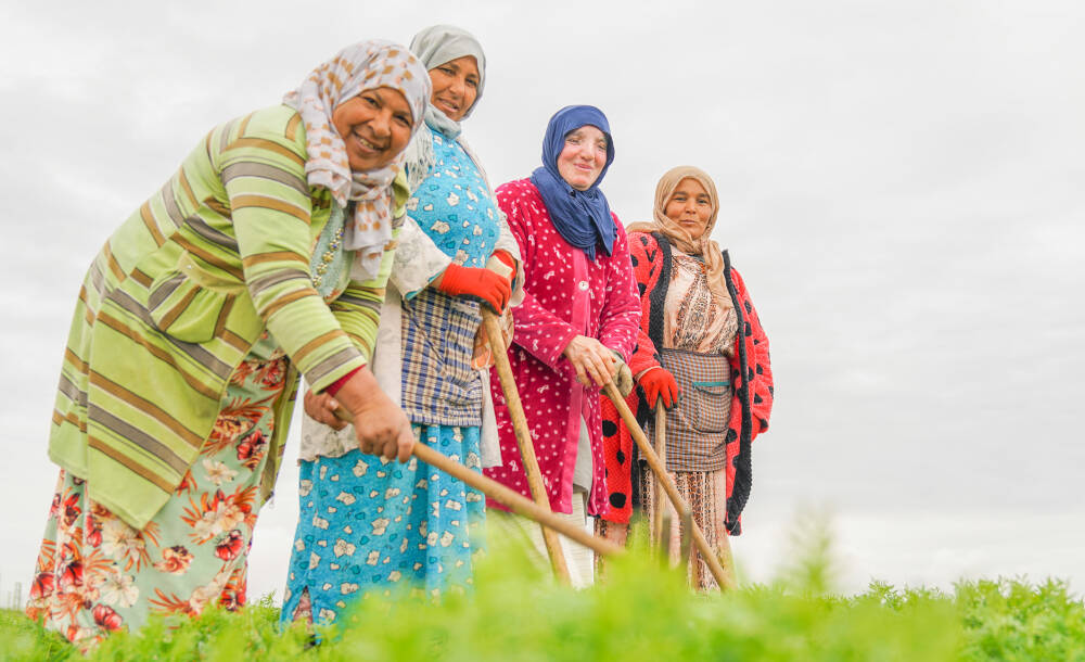 ICARDA Women Farmers