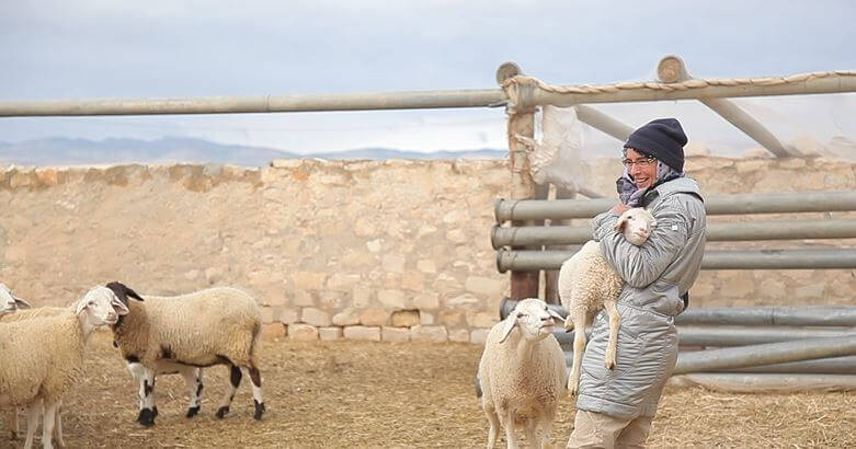 Leila Chikhaoui – a livestock producer – is feeding her animals with care Leila Chikhaoui – a livestock producer