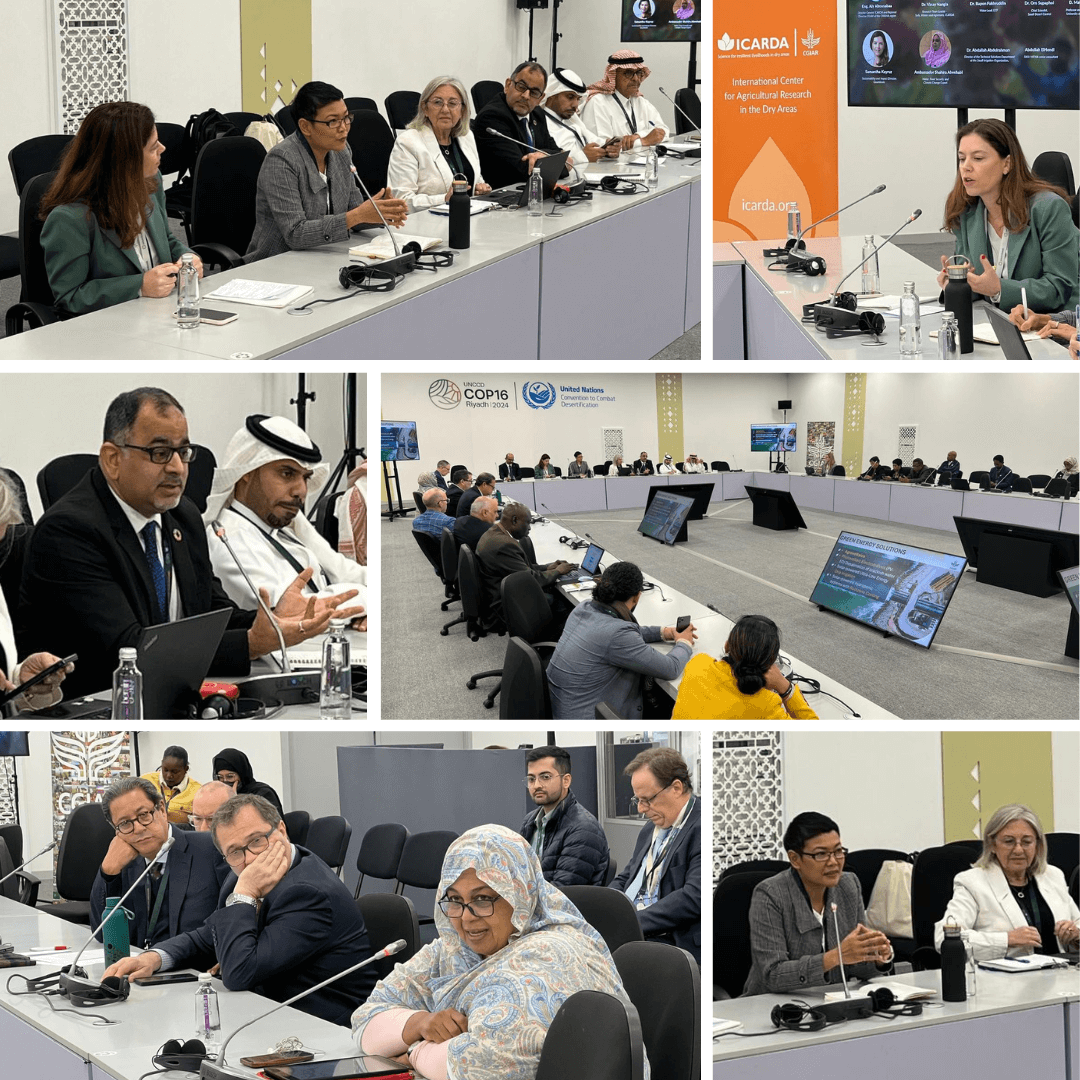 COP 16 - Collage 2