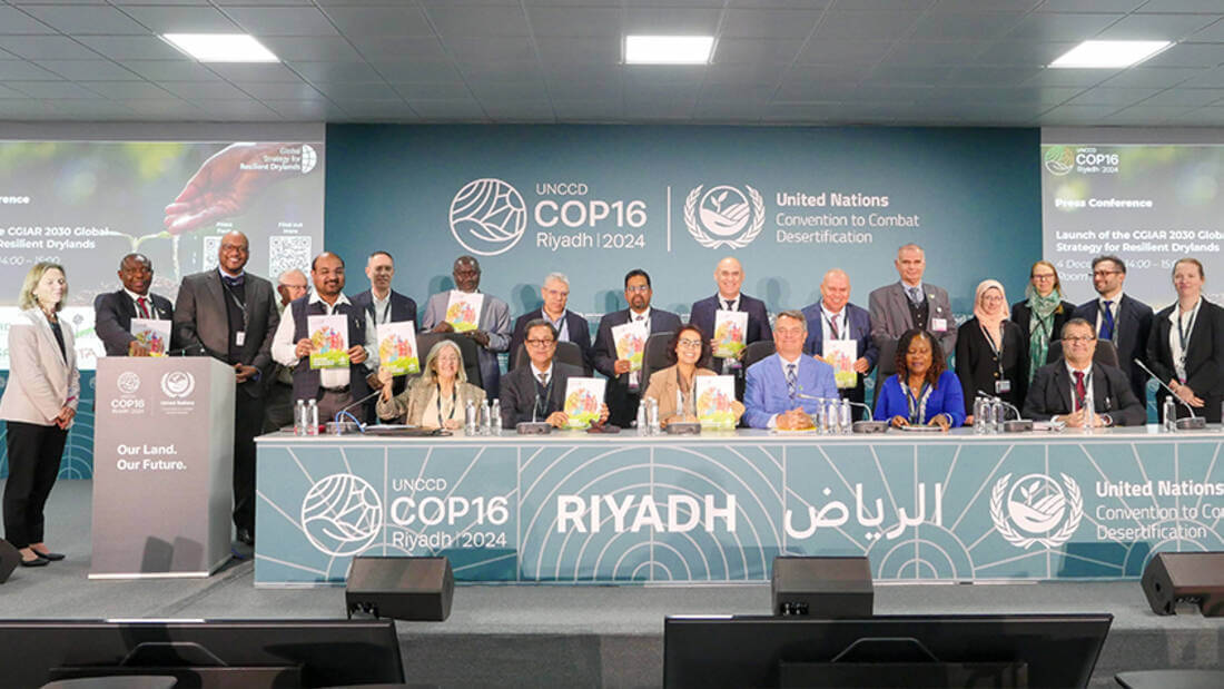 Launch of the GSRD at COP16 Launch of the GSRD at COP16