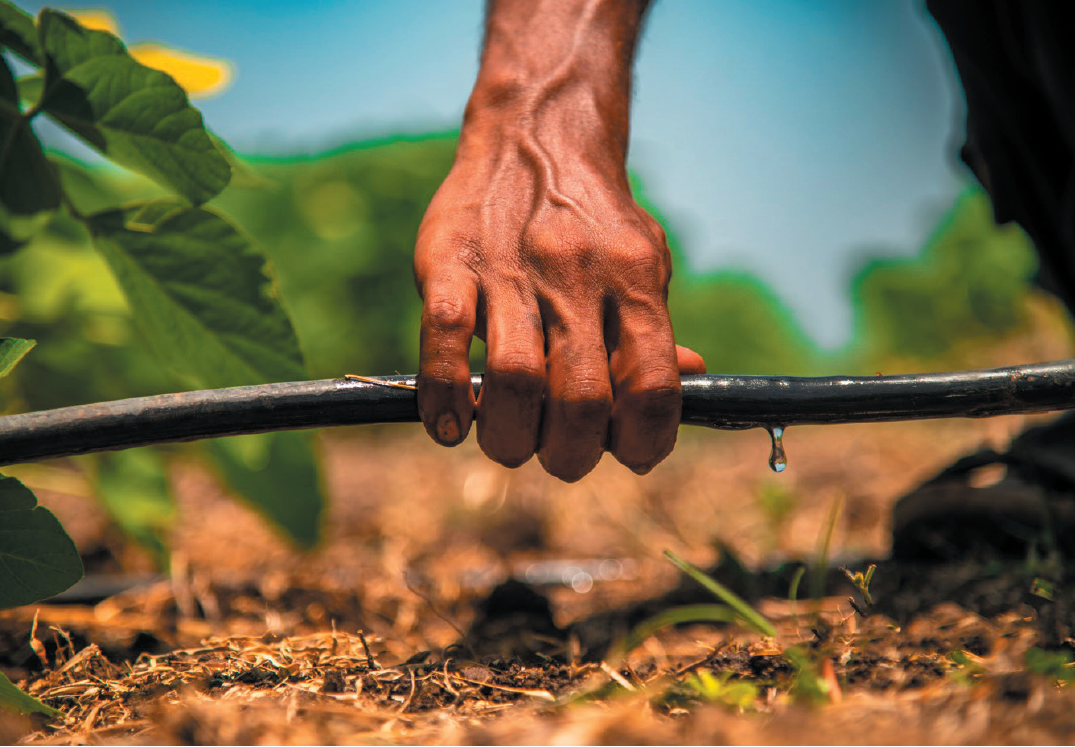 ULE Drip Irrigation ULE Drip Irrigation