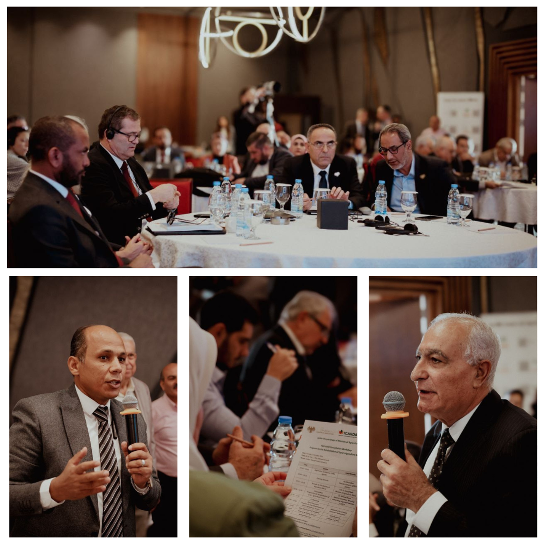 Q&A Session