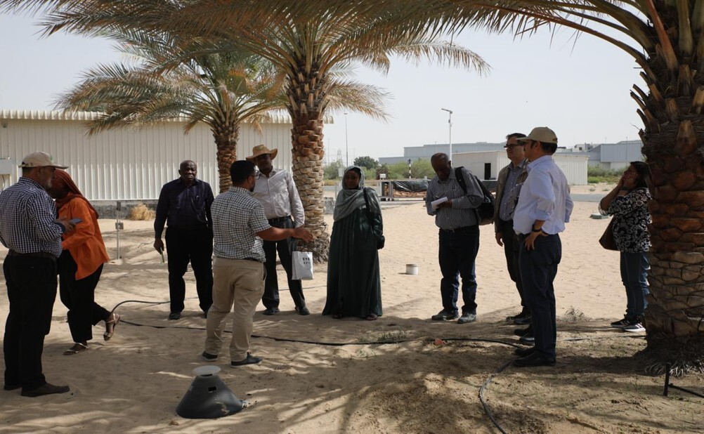 C4RPWC members visit to the International Center for Biosaline Agriculture (ICBA), UAE.