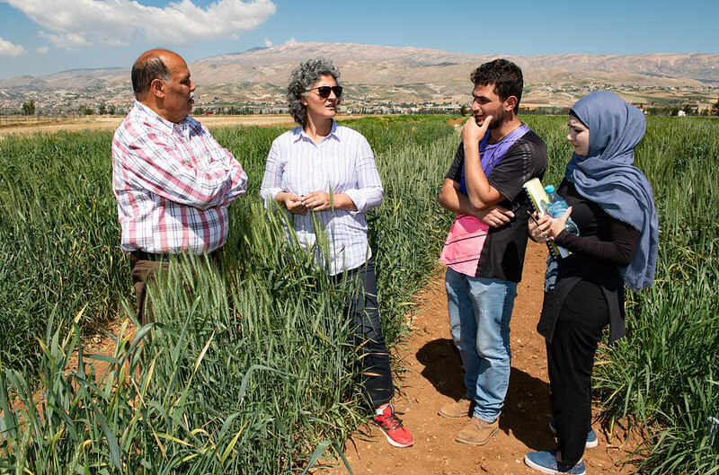 Terbol station lebanon 