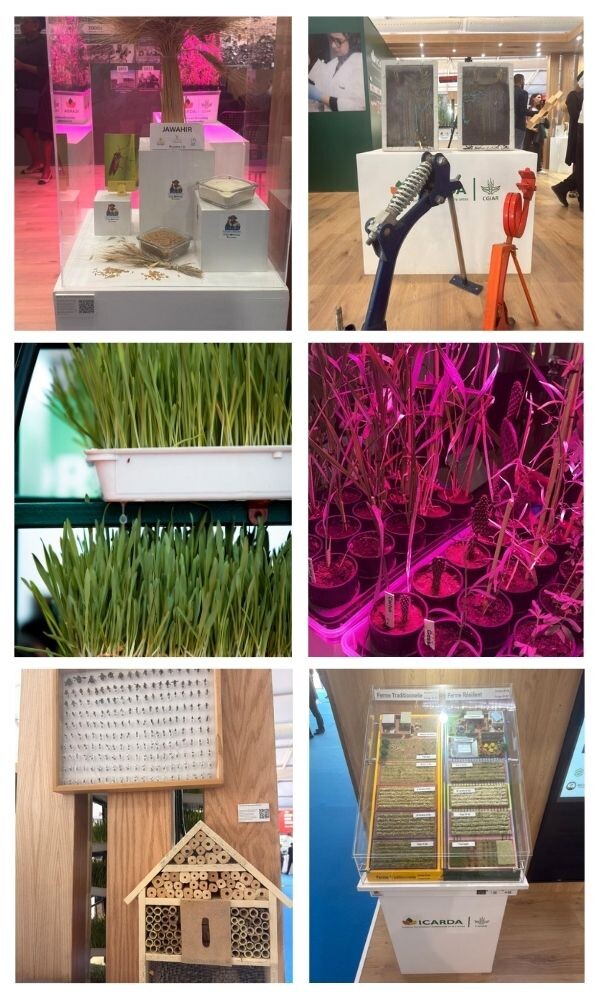 SIAM 2026 Displays