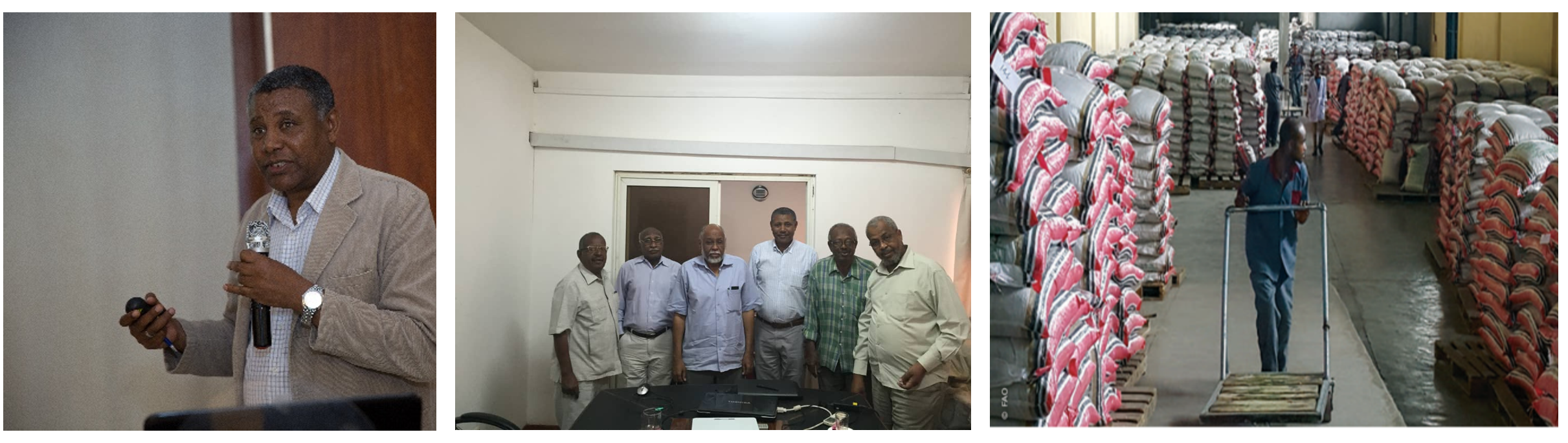 Left to Right: Dr. Zewdie Bishaw, Research Team Leader - Seed Systems, International Nurseries and Seed Health, ICARDA;  National consultation on wheat seed sector; Technical team for development of wheat seed road map; Wheat seeds ready for export.