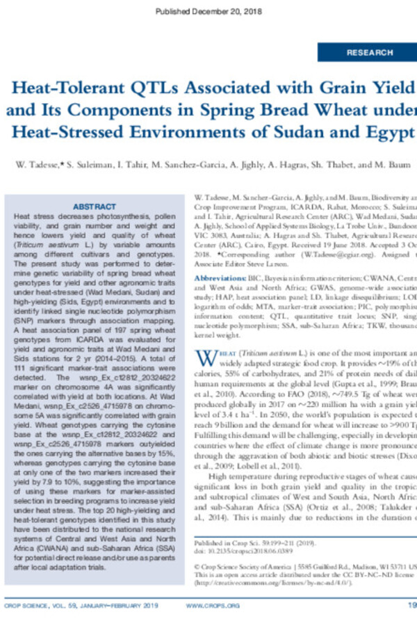 Heat-Tolerant QTLs Associated with Grain Yield and Its Components in Spring Bread Wheat under Heat-Stressed Environments of Sudan and Egypt