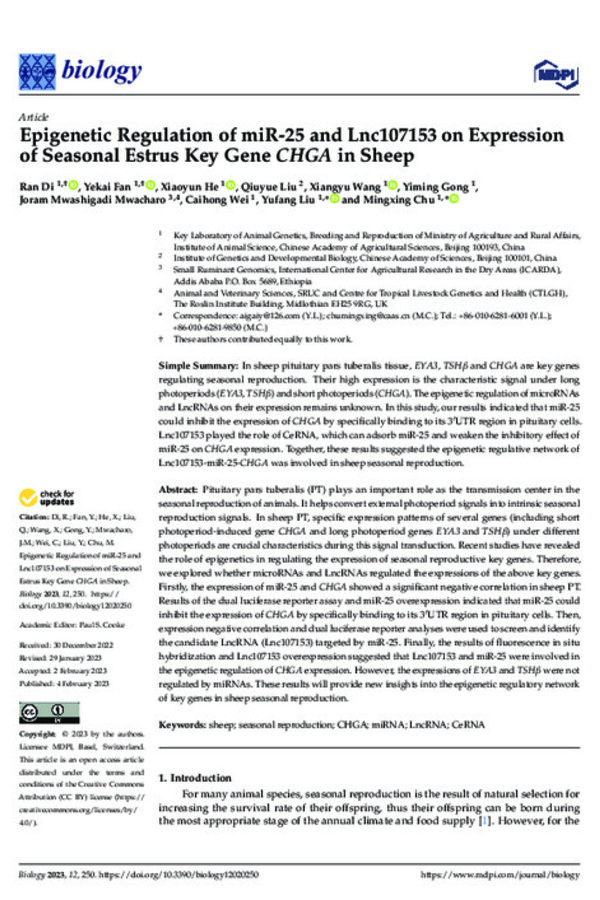 Epigenetic Regulation of miR-25 and Lnc107153 on Expression of Seasonal Estrus Key Gene CHGA in Sheep