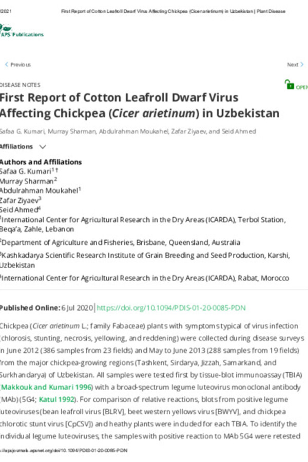 First report of Cotton leafroll dwarf virus affecting chickpea (Cicer arietinum L.) in Uzbekistan First report of Cotton leafroll dwarf virus affecting chickpea (Cicer arietinum L.) in Uzbekistan