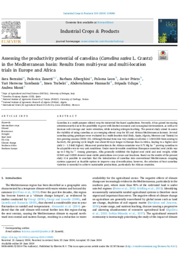 Assessing the productivity potential of camelina (Camelina sativa L. Crantz) in the Mediterranean basin: Results from multi-year and multi-location trials in Europe and Africa
