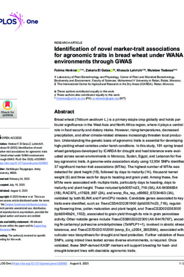 Identification of novel marker-trait associations for agronomic traits in bread wheat under WANA environments through GWAS Identification of novel marker-trait associations for agronomic traits in bread wheat under WANA environments through GWAS
