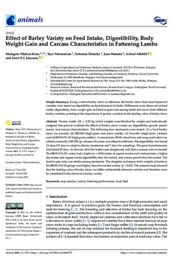 Effect of Barley Variety on Feed Intake, Digestibility, Body Weight Gain and Carcass Characteristics in Fattening Lambs