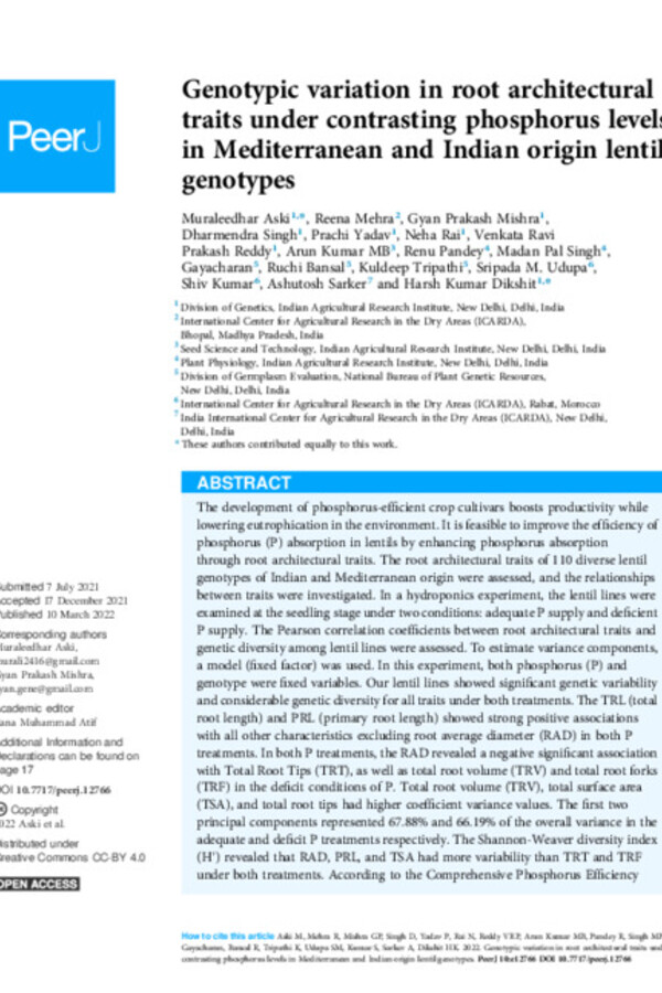 Genotypic variation in root architectural traits under contrasting phosphorus levels in Mediterranean and Indian origin lentil genotypes