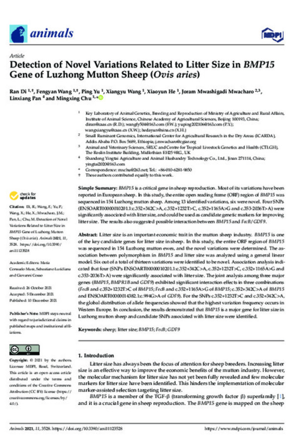 Detection of Novel Variations Related to Litter Size in BMP15 Gene of Luzhong Mutton Sheep ( Ovis aries)
