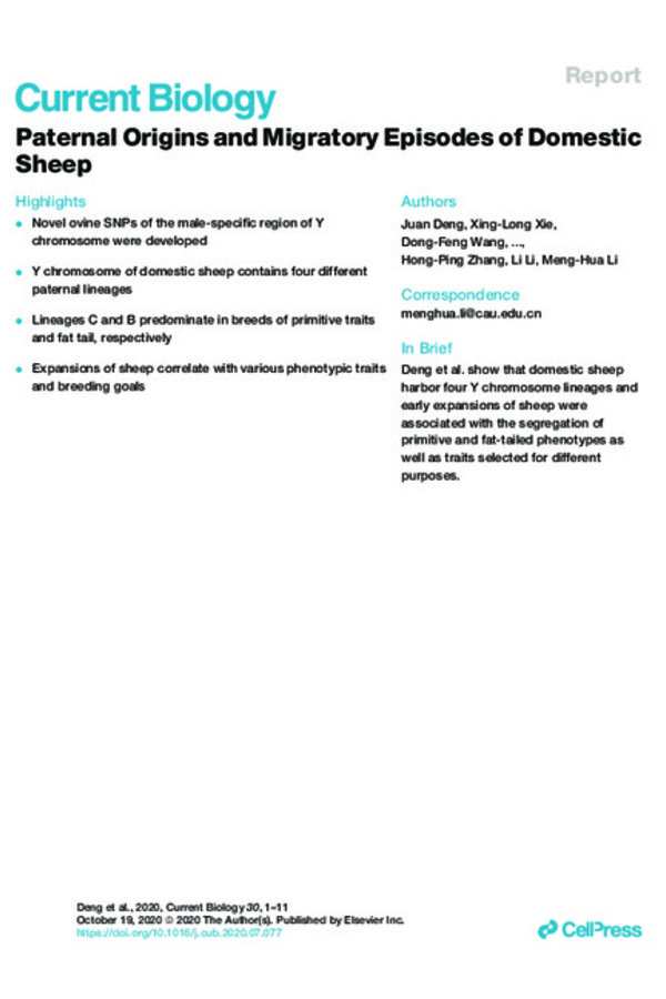 Paternal Origins and Migratory Episodes of Domestic Sheep