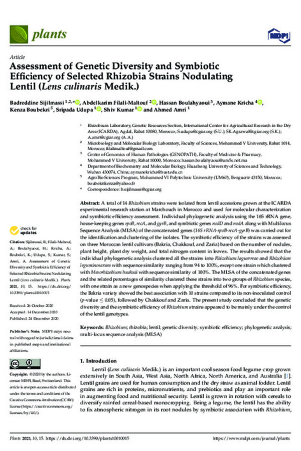 Assessment of Genetic Diversity and Symbiotic Efficiency of Selected Rhizobia Strains Nodulating Lentil (Lens culinaris Medik.) Assessment of Genetic Diversity and Symbiotic Efficiency of Selected Rhizobia Strains Nodulating Lentil (Lens culinaris Medik.)