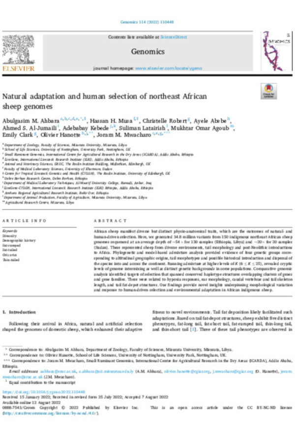 Natural adaptation and human selection of northeast African sheep genomes
