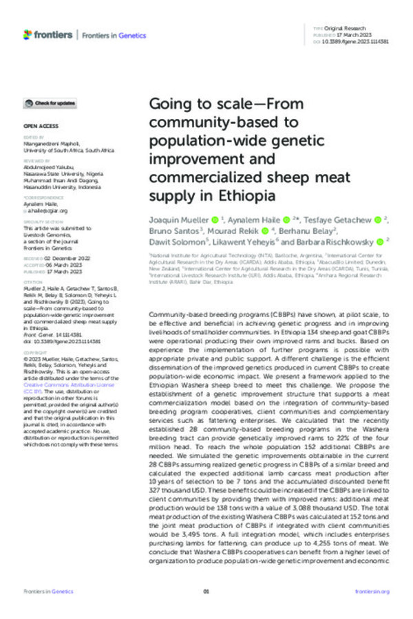 Going to scale—From community-based to population-wide genetic improvement and commercialized sheep meat supply in Ethiopia