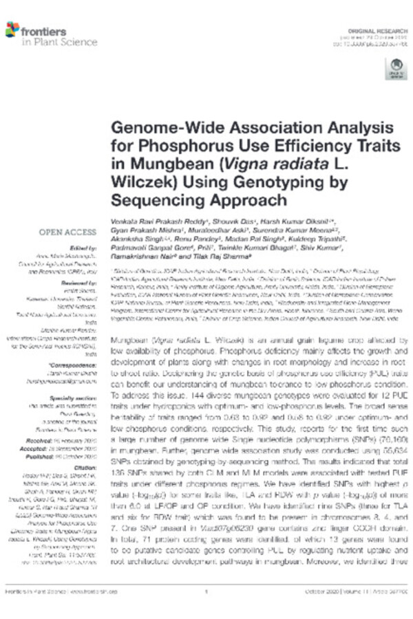 Genome wide association analysis for phosphorus use efficiency traits in mungbean (Vigna radiata L. Wilczek) using genotyping by sequencing approach