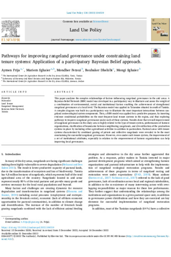 Pathways for improving rangeland governance under constraining land tenure systems: Application of a participatory Bayesian Belief approach