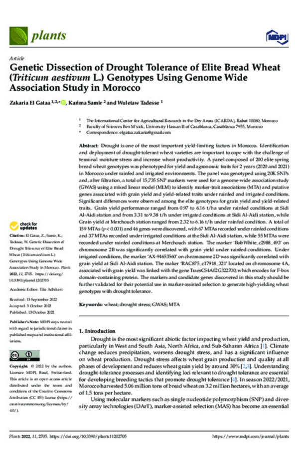 Genetic Dissection of Drought Tolerance of Elite Bread Wheat (Triticum aestivum L.) Genotypes Using Genome Wide Association Study in Morocco