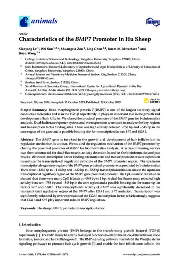 Characteristics of the BMP7 Promoter in Hu Sheep