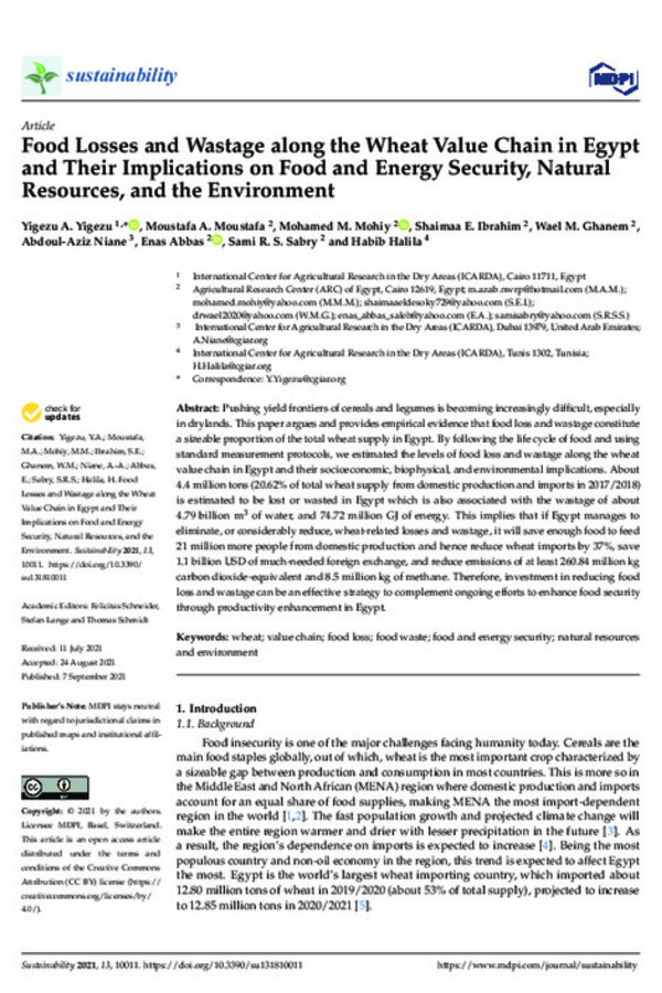 Food Losses and Wastage along the Wheat Value Chain in Egypt and Their Implications on Food and Energy Security, Natural Resources, and the Environment