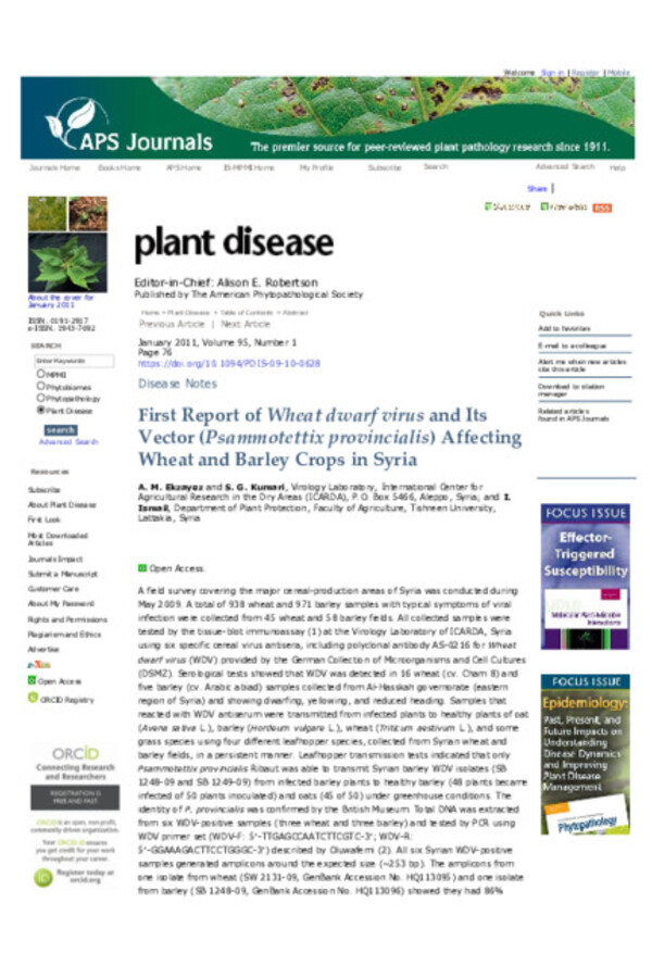 First Report Of Wheat Dwarf Virus And Its Vector (Psammotettix Provincialis) Affecting Wheat And Barley Crops In Syria First Report Of Wheat Dwarf Virus And Its Vector (Psammotettix Provincialis) Affecting Wheat And Barley Crops In Syria