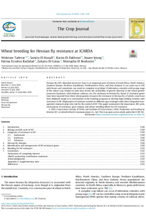 Wheat breeding for Hessian fly resistance at ICARDA