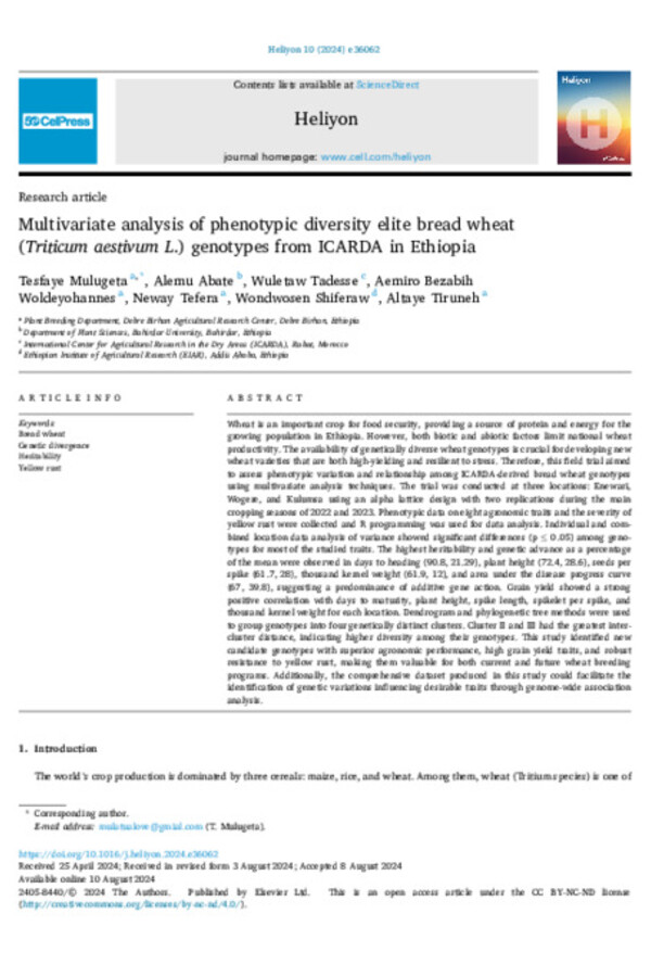 Multivariate analysis of phenotypic diversity elite bread wheat  (Triticum aestivum L.) genotypes from ICARDA in Ethiopia