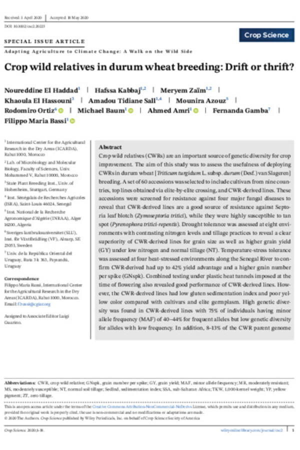 Crop wild relatives use in durum wheat breeding: drift or thrift?