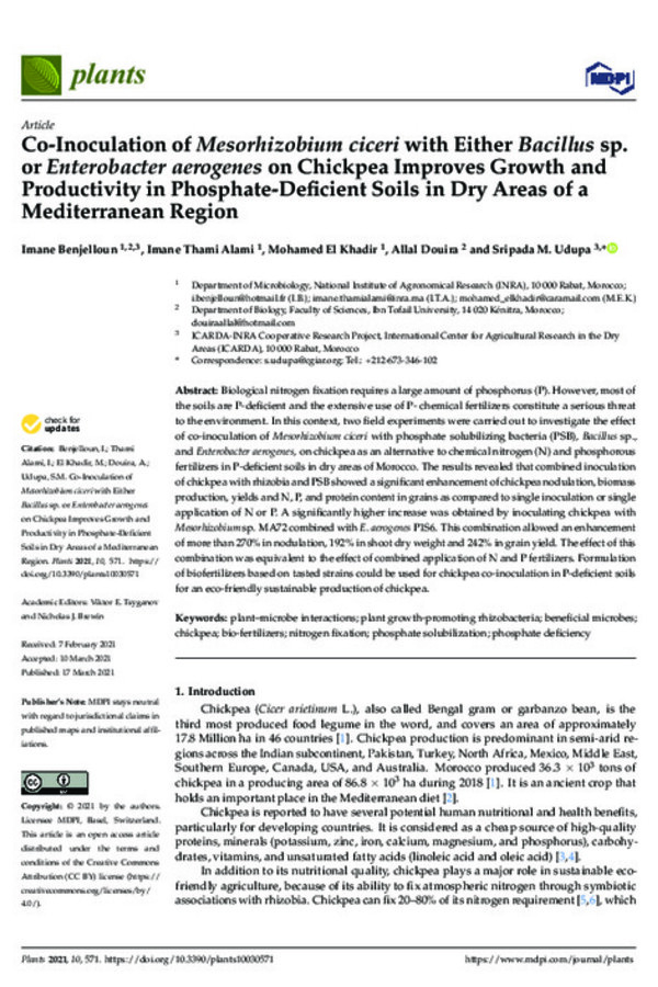 Co-Inoculation of Mesorhizobium ciceri with Either Bacillus sp. or Enterobacter aerogenes on Chickpea Improves Growth and Productivity in Phosphate-Deficient Soils in Dry Areas of a Mediterranean Region