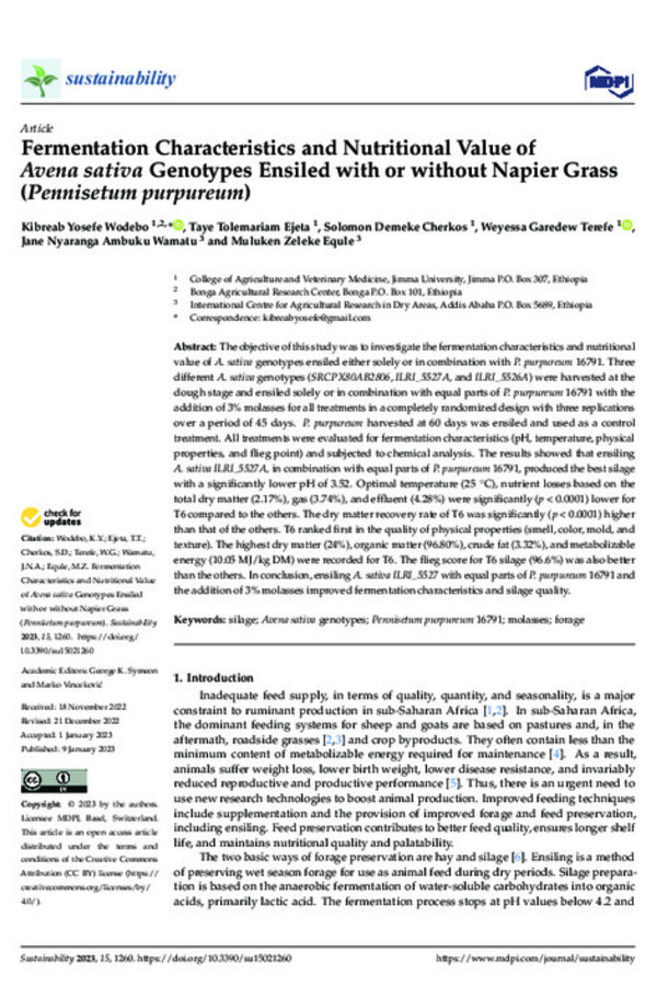 Fermentation Characteristics and Nutritional Value of Avena sativa Genotypes Ensiled with or without Napier Grass (Pennisetum purpureum)