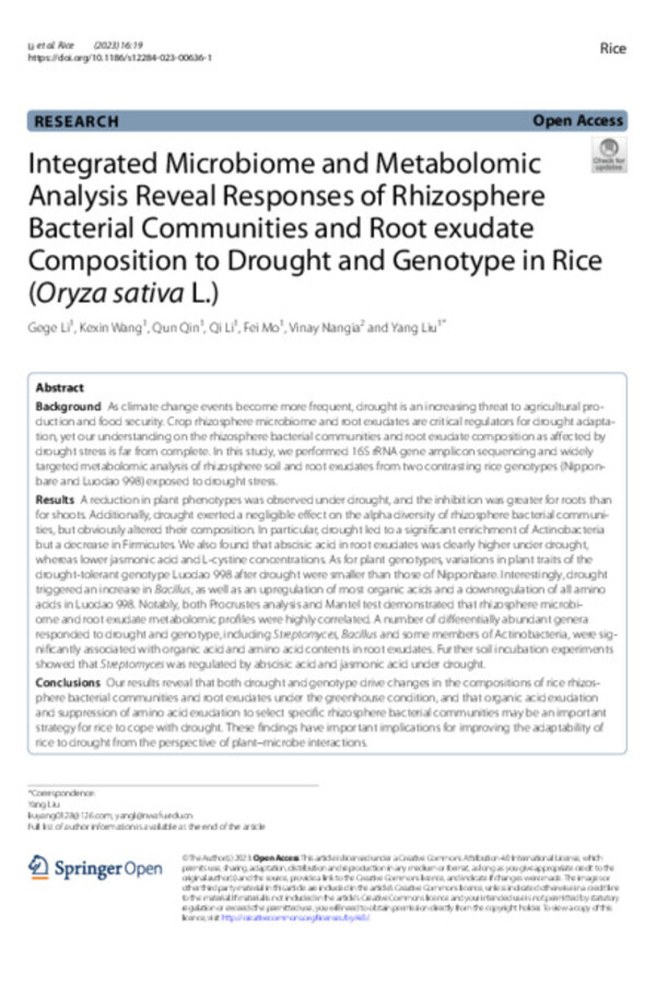 Integrated Microbiome and Metabolomic Analysis Reveal Responses of Rhizosphere Bacterial Communities and Root exudate Composition to Drought and Genotype in Rice (Oryza sativa L.)