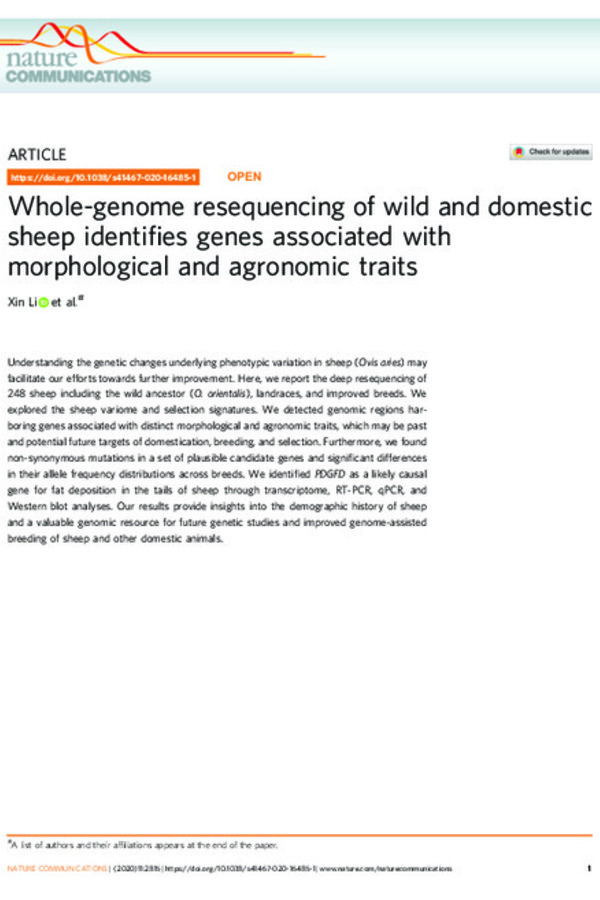 Whole-genome resequencing of wild and domestic sheep identifies genes associated with morphological and agronomic traits