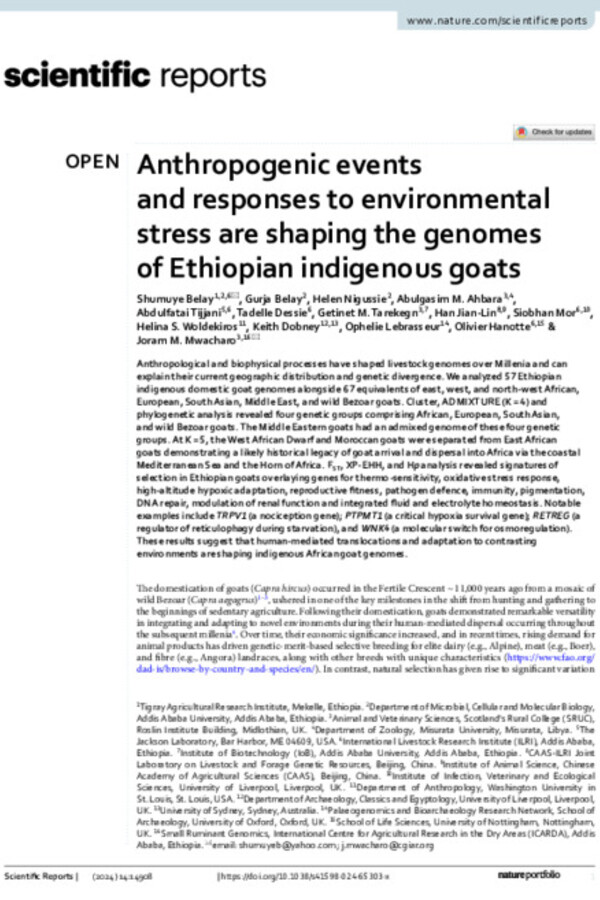 Anthropogenic events and responses to environmental stress are shaping the genomes of Ethiopian indigenous goats