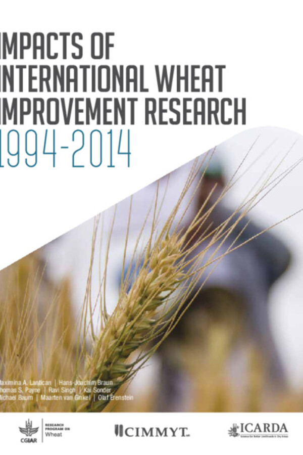 Impacts of International Wheat Improvement Research